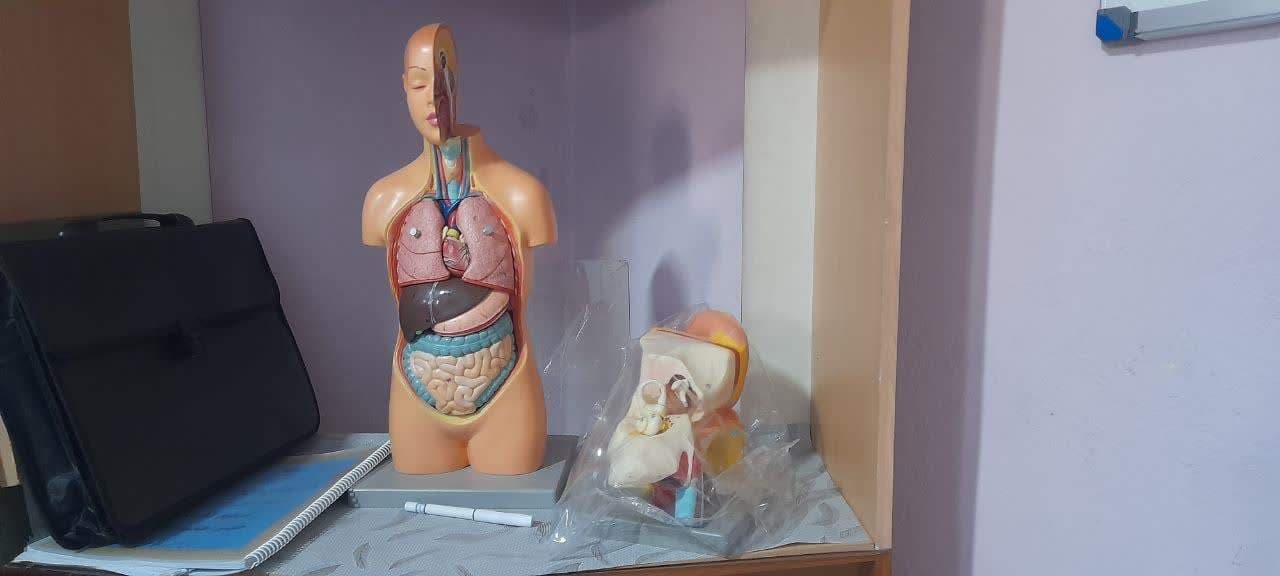 مجموعه بهدخت