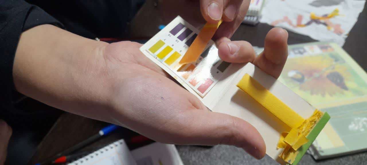 مجموعه بهدخت